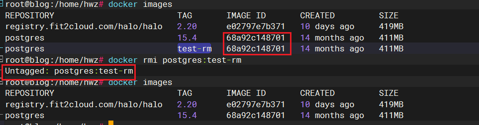 image-20241207112911380