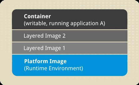 image-20241206001443865