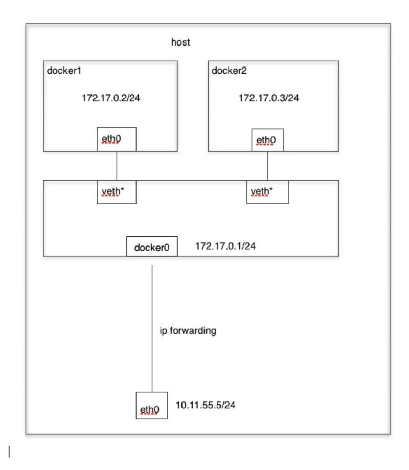image-20241206010034904